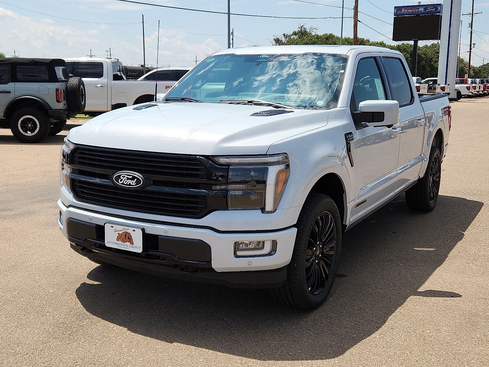 2025 Ford F-150 Platinum