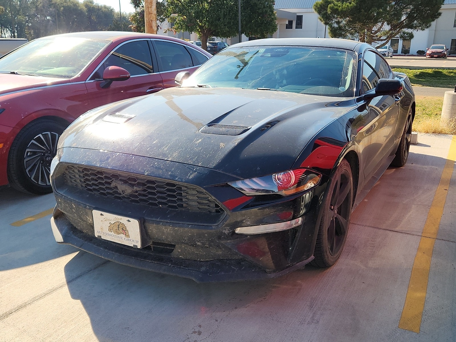 2022 Ford Mustang EcoBoost
