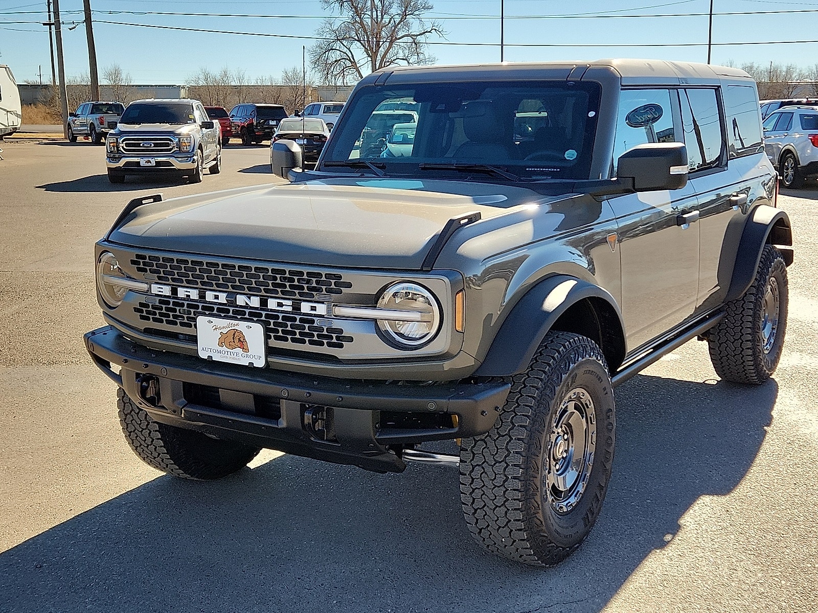 2025 Ford Bronco 4-Door Badlands's photo
