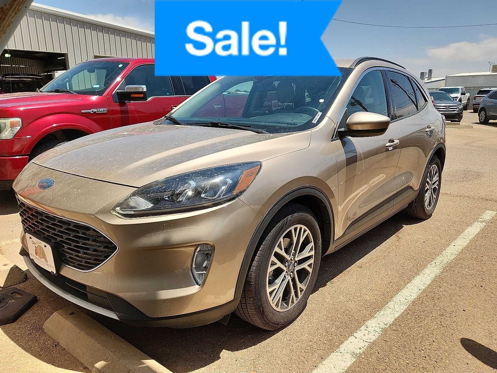 2020 Ford Escape SEL FWD's photo