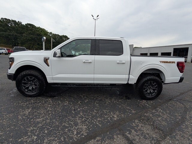 2025 Ford F-150 Tremor photo 2