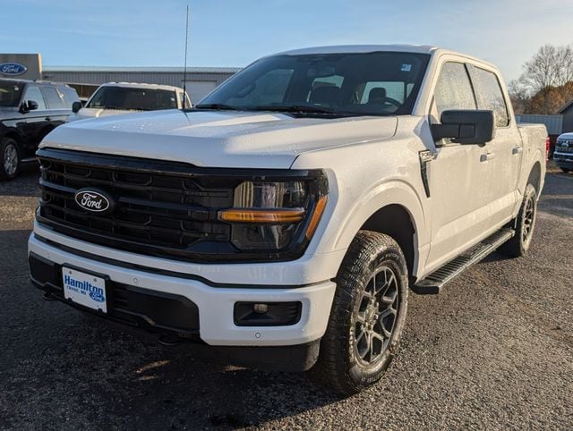 2025 Ford F-150 XLT's photo
