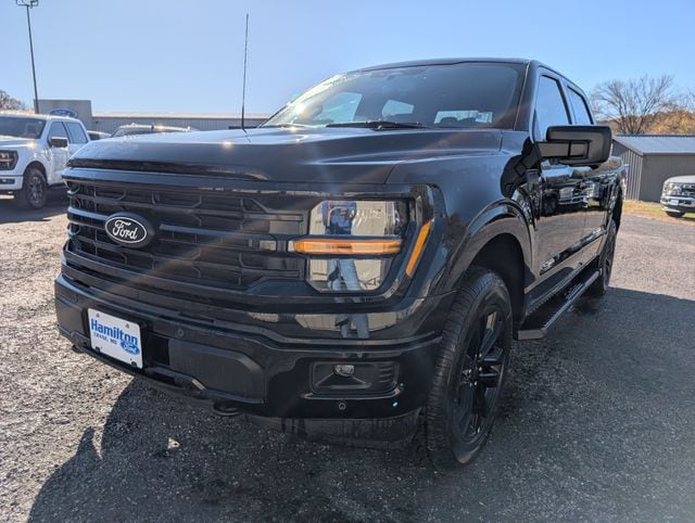 2025 Ford F-150 XLT's photo