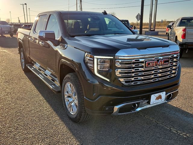 2026 GMC Sierra 1500 Denali - Photo 6