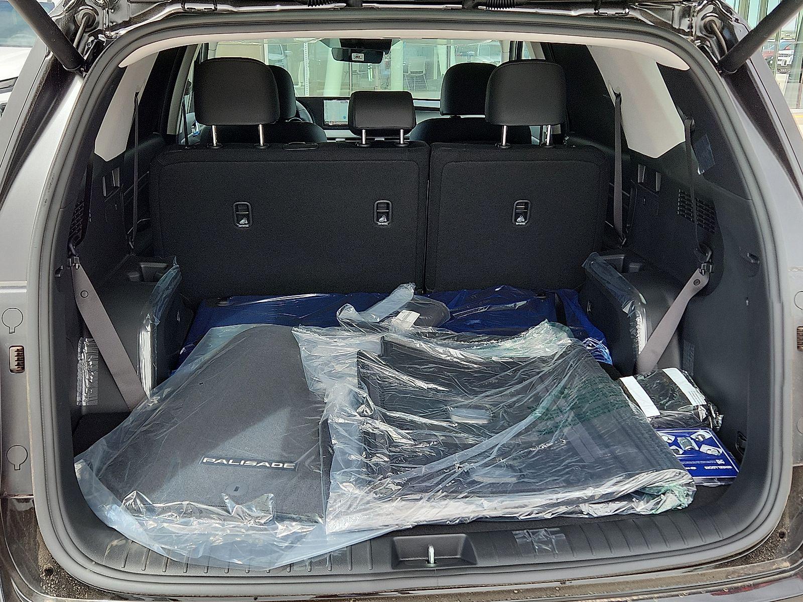2025 Hyundai Palisade SEL Premium - Photo 8