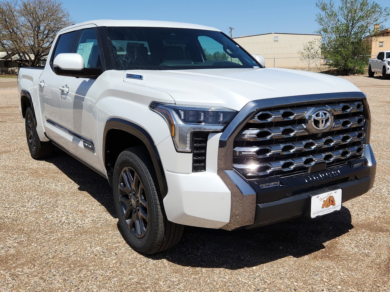 2025 Toyota Tundra Platinum photo 3