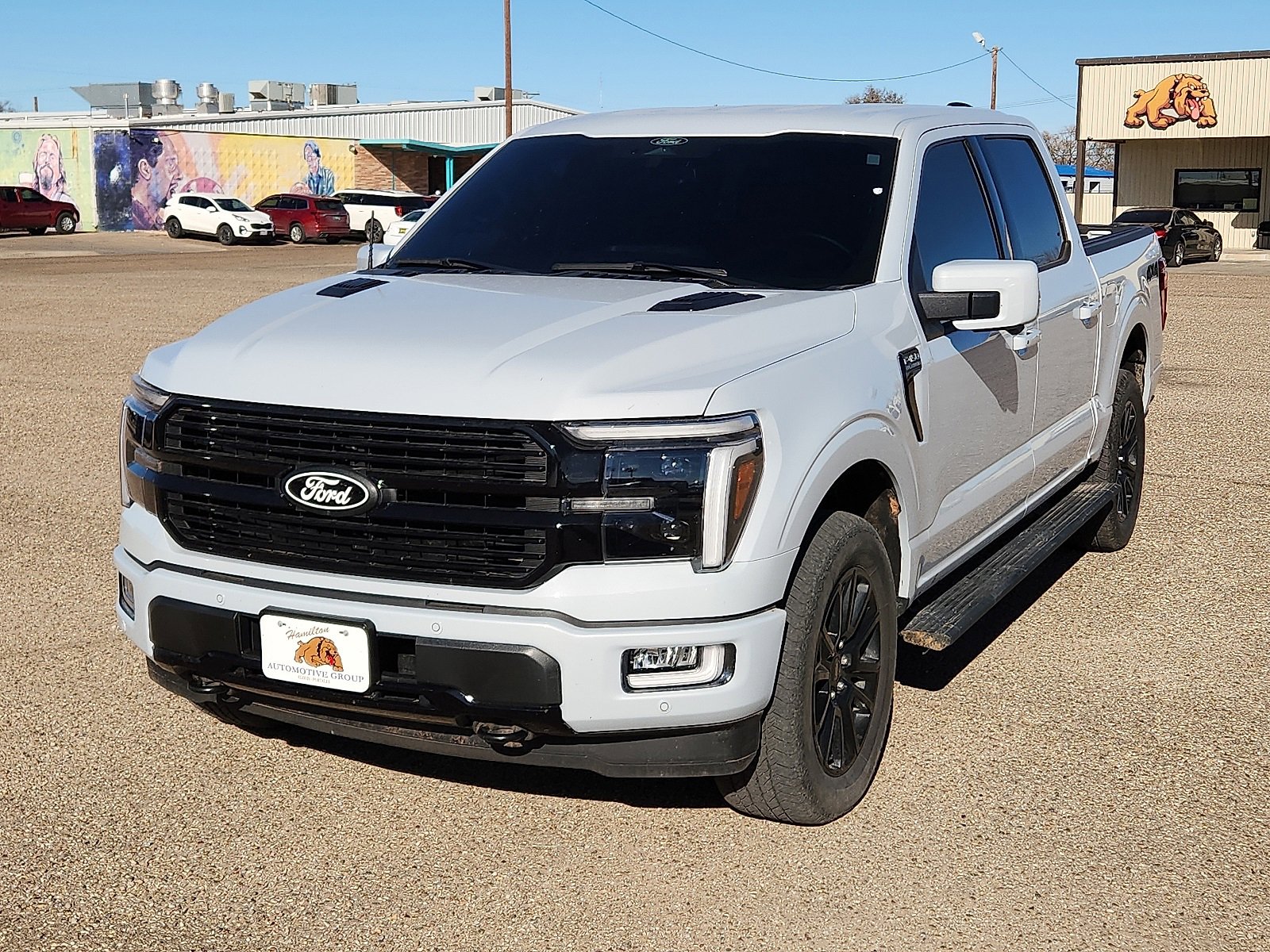 2025 Ford F-150 Platinum's photo
