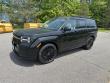 New 2025 Hyundai Santa Fe Calligraphy AWD SUV