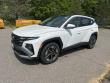Used 2025 Hyundai Tucson Hybrid SEL Convenience SUV