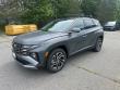 New 2025 Hyundai Tucson Limited AWD SUV