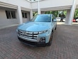  Hyundai Santa Cruz