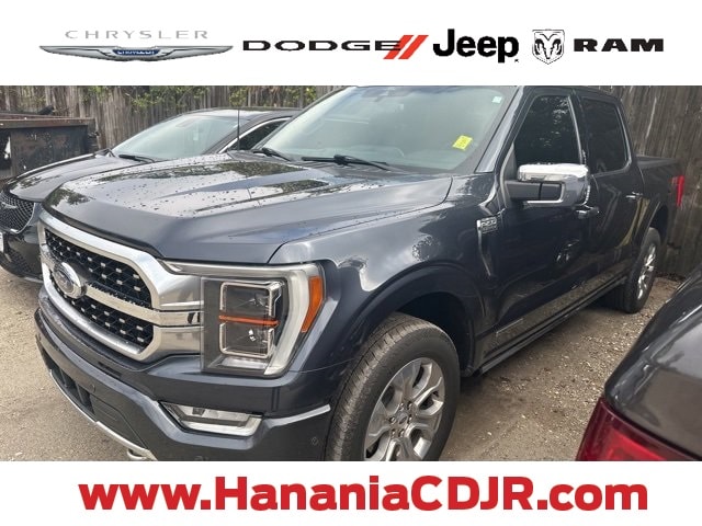 2022 Ford F-150 Platinum's photo