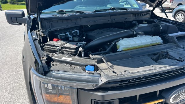 2023 Ford F-150 Tremor - Photo 45