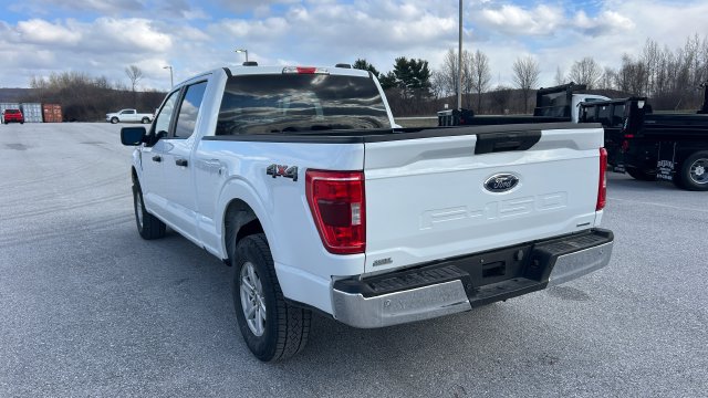 2023 Ford F-150 XL - Photo 6
