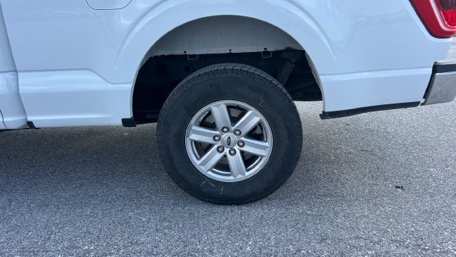 2023 Ford F-150 XL - Photo 12