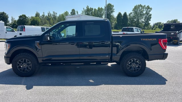 2023 Ford F-150 Tremor - Photo 10