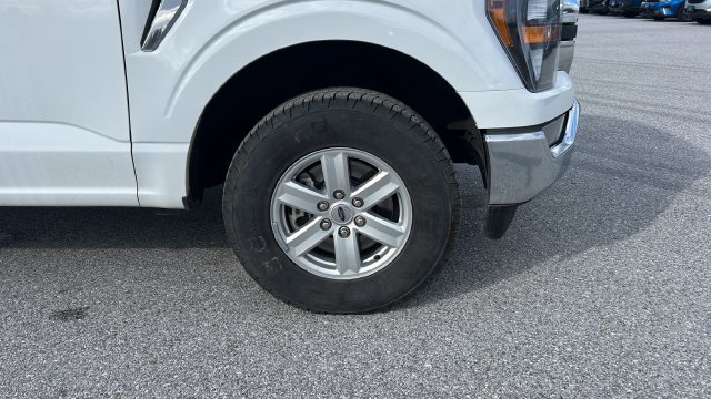 2023 Ford F-150 XL - Photo 10