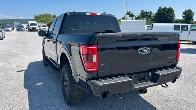 2023 Ford F-150 Tremor - Photo 9