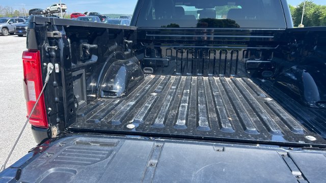 2023 Ford F-150 Tremor - Photo 7