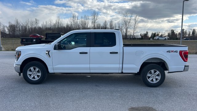 2023 Ford F-150 XL - Photo 7
