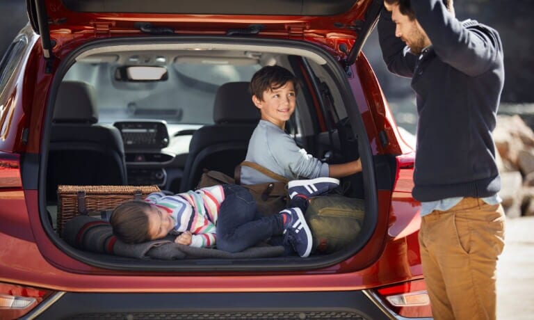 2020 Hyundai Santa Fe Specs, Trims, Deals & Comparisons in ...