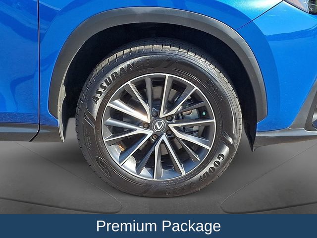 2024 Lexus NX 350 - Photo 10