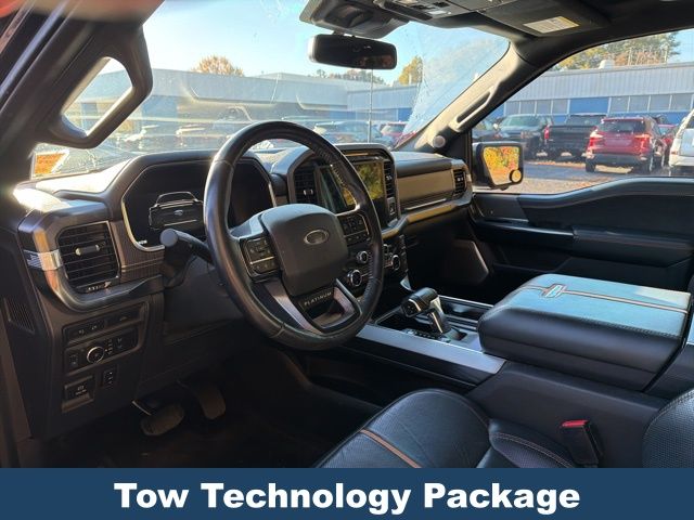 2021 Ford F-150 Platinum photo 2