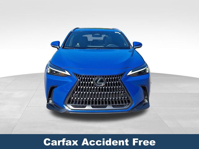 2024 Lexus NX 350 - Photo 3