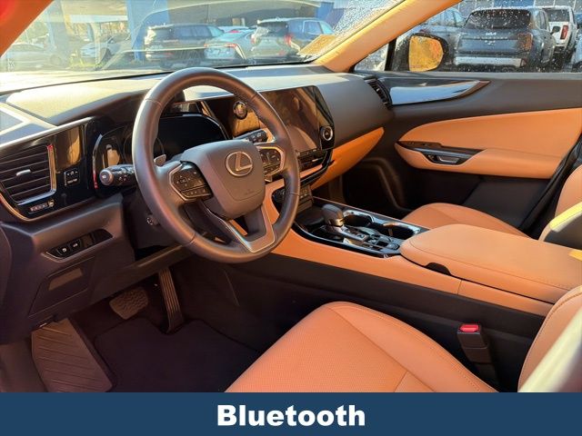 2024 Lexus NX 250 Premium photo 3