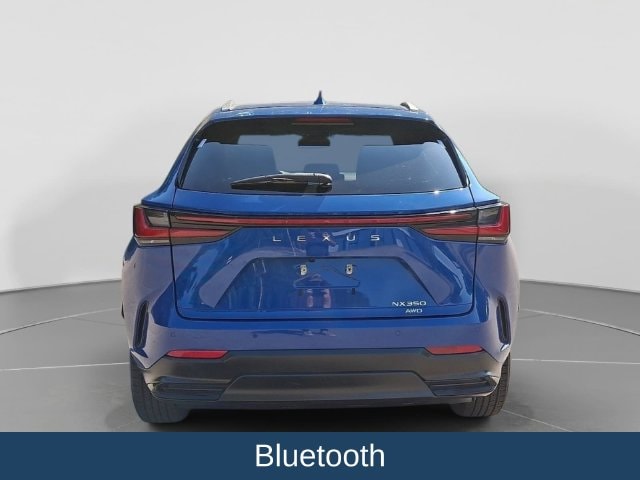 2024 Lexus NX 350 - Photo 6