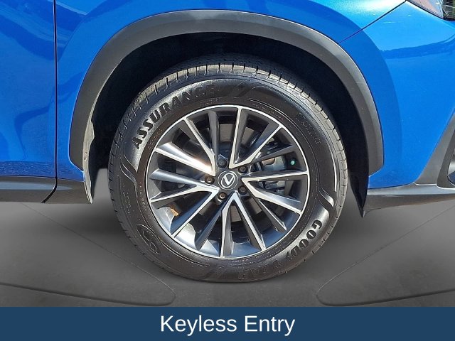 2024 Lexus NX 350 - Photo 10