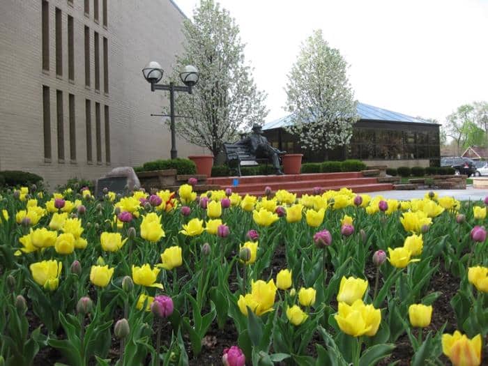 Man sitting on bench statue at Oak Lawn Village surrounded by landscaped yellow and purple tulips, sourced from OakLawn-IL.gov