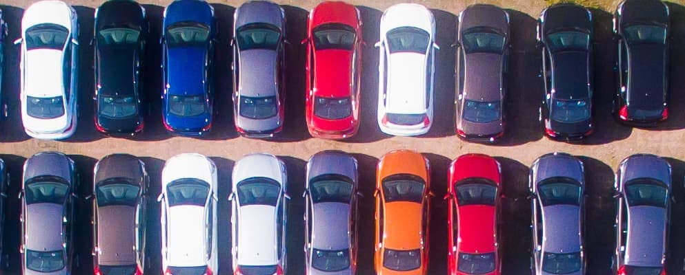 993 × 400