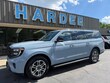  Ford Expedition Max