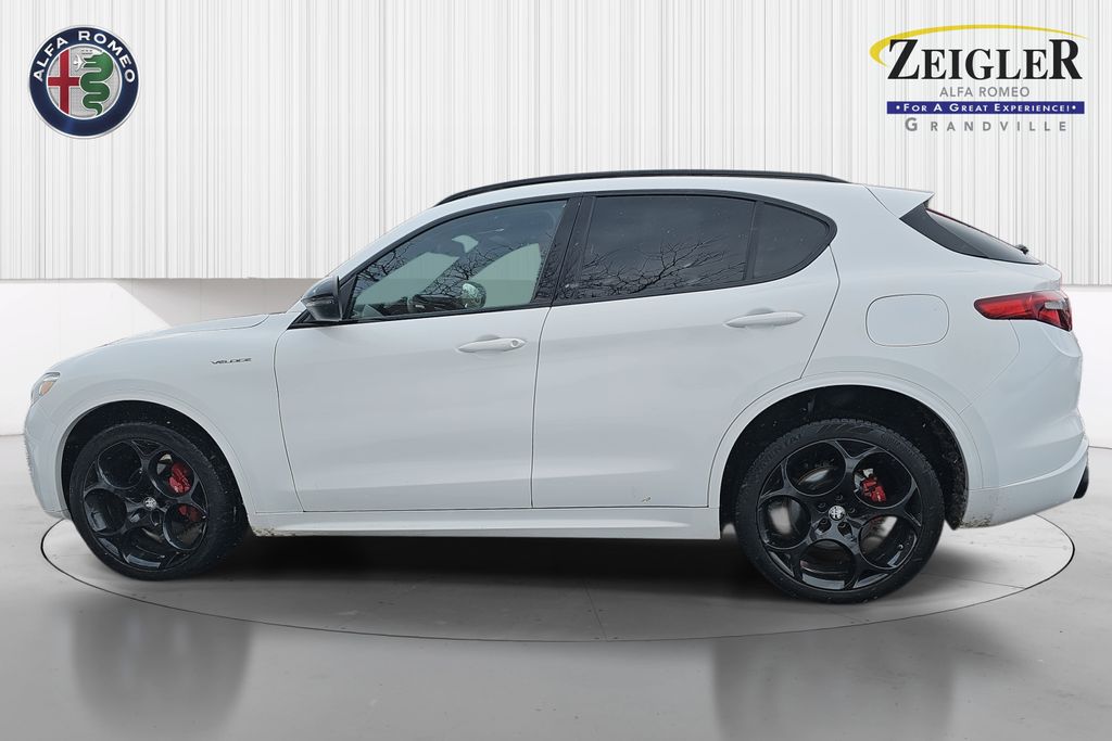 2023 ALFA ROMEO STELVIO - Image 8