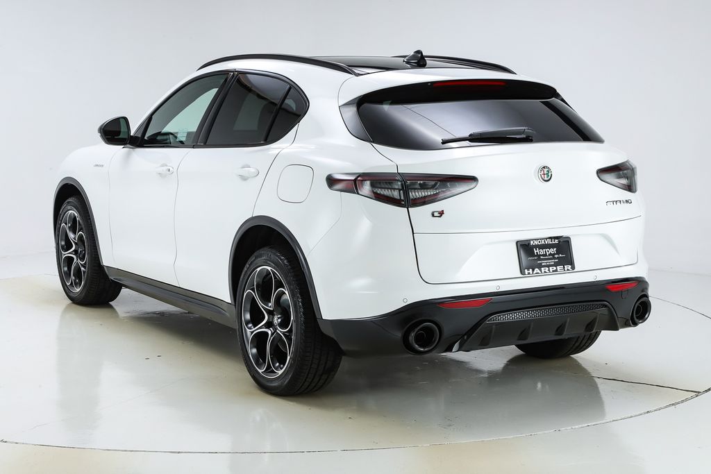 2025 Alfa Romeo Stelvio Base - Photo 8