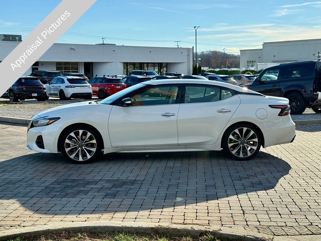 2023 Nissan Maxima Platinum photo 4