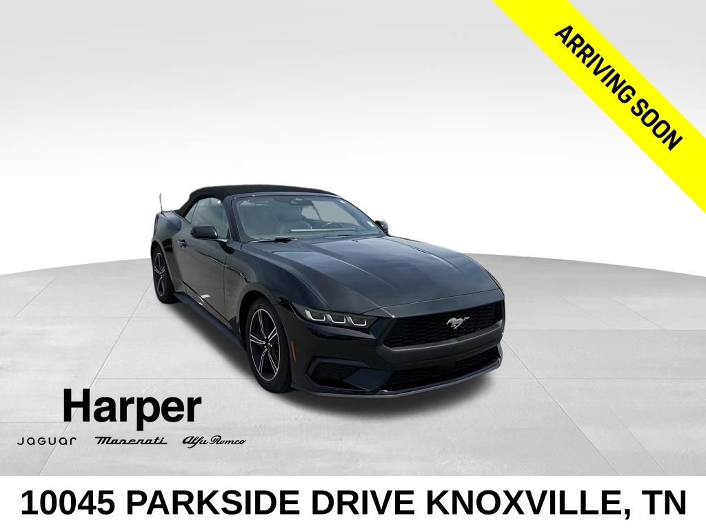 2024 Ford Mustang's photo