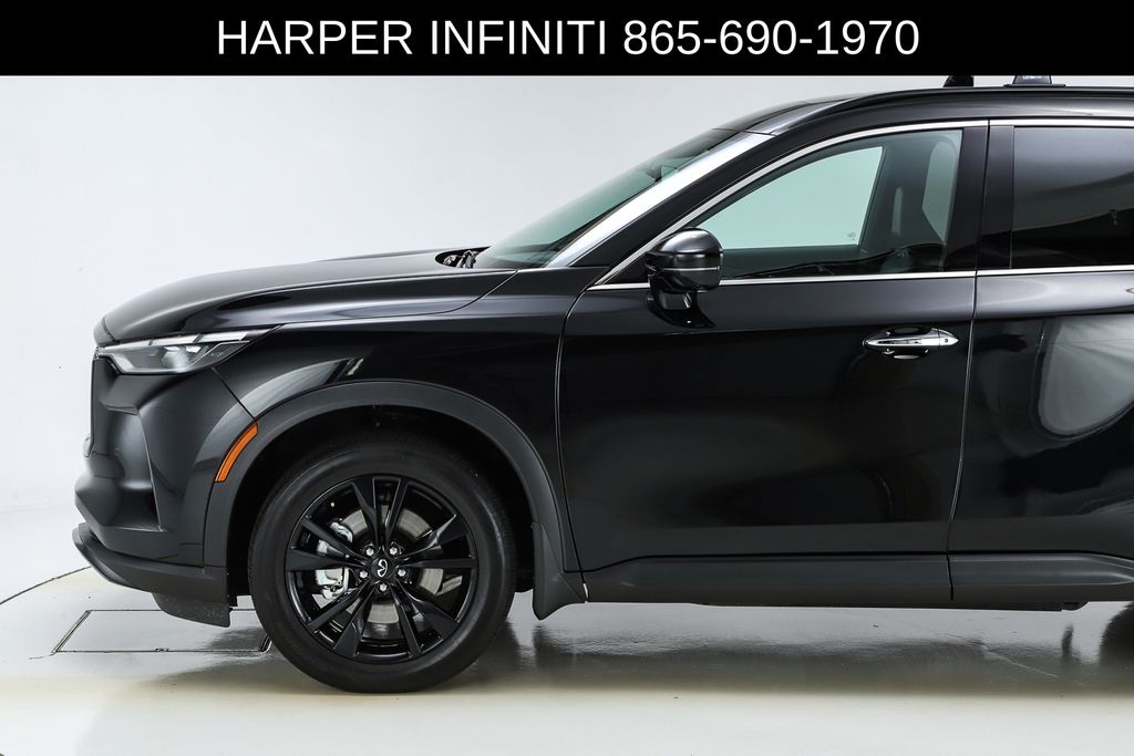2025 Infiniti QX60 Luxe photo 3