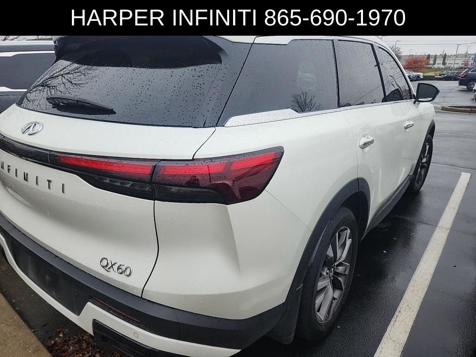 2023 Infiniti QX60 Luxe photo 3