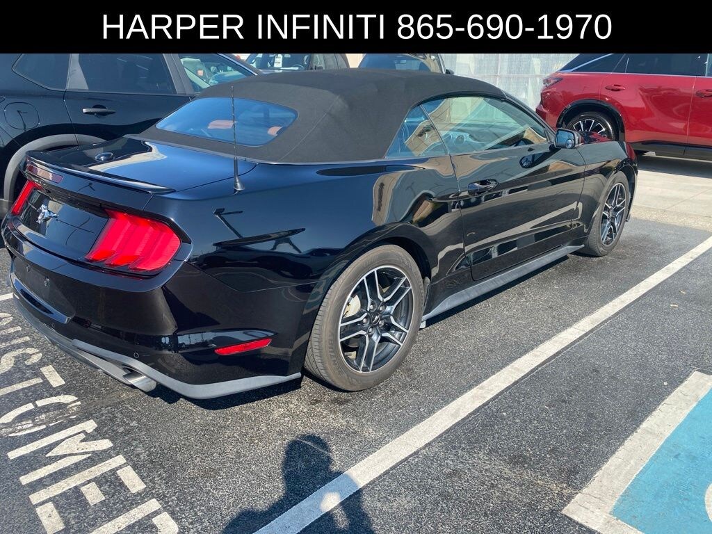 Used 2019 Ford Mustang Convertible