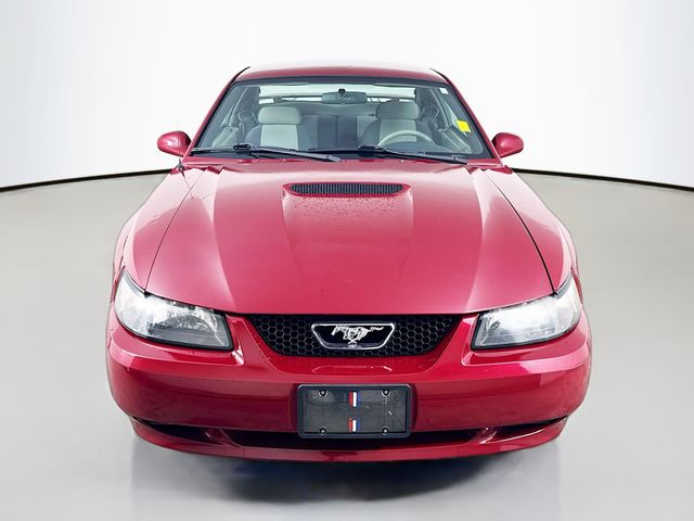 Used 2002 Ford Mustang Standard with VIN 1FAFP40422F107623 for sale in Alcoa, TN