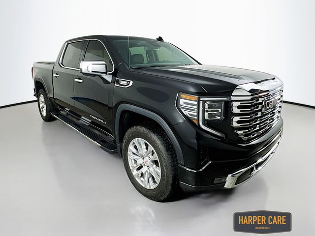 2023 Gmc Sierra 1500 Denali photo 3