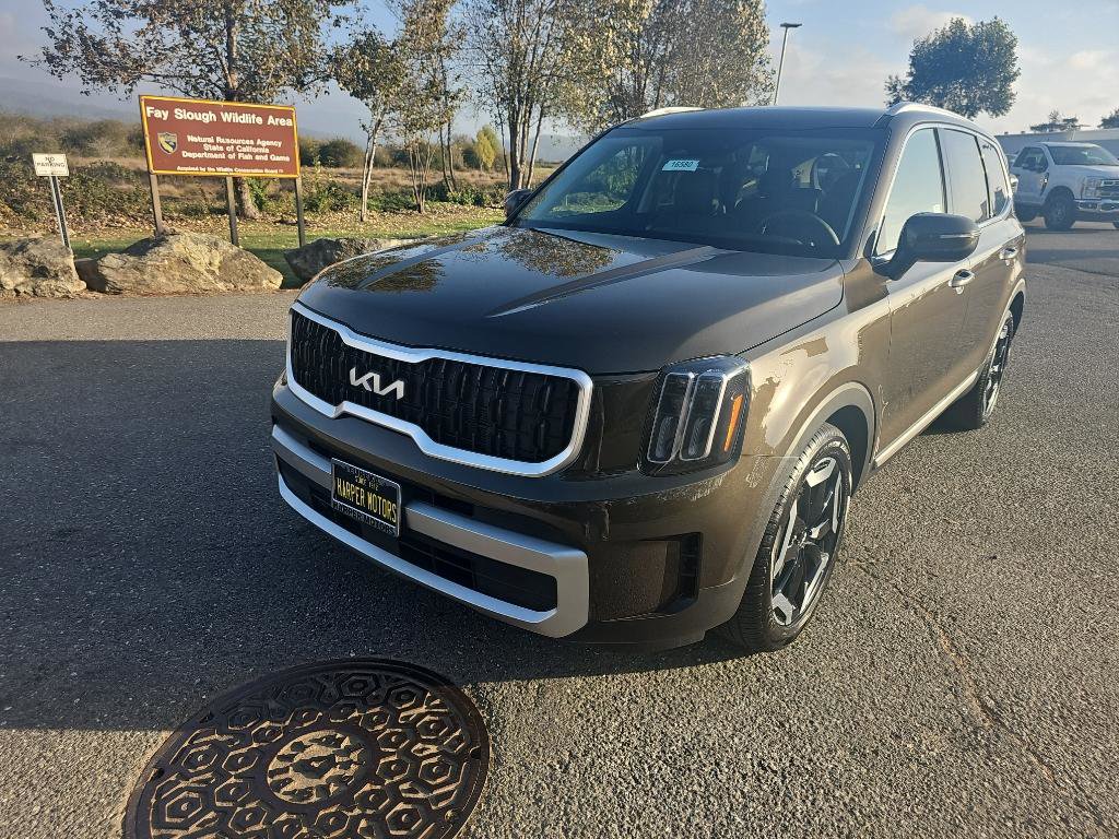 2025 Kia Telluride EX's photo