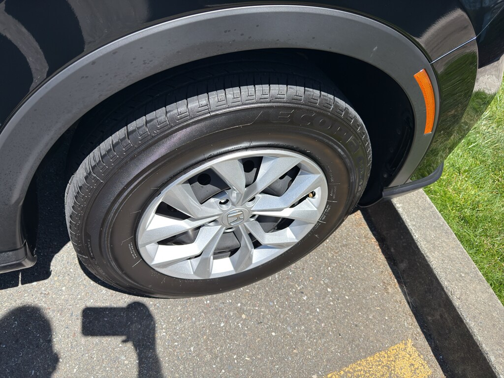 Photo 19