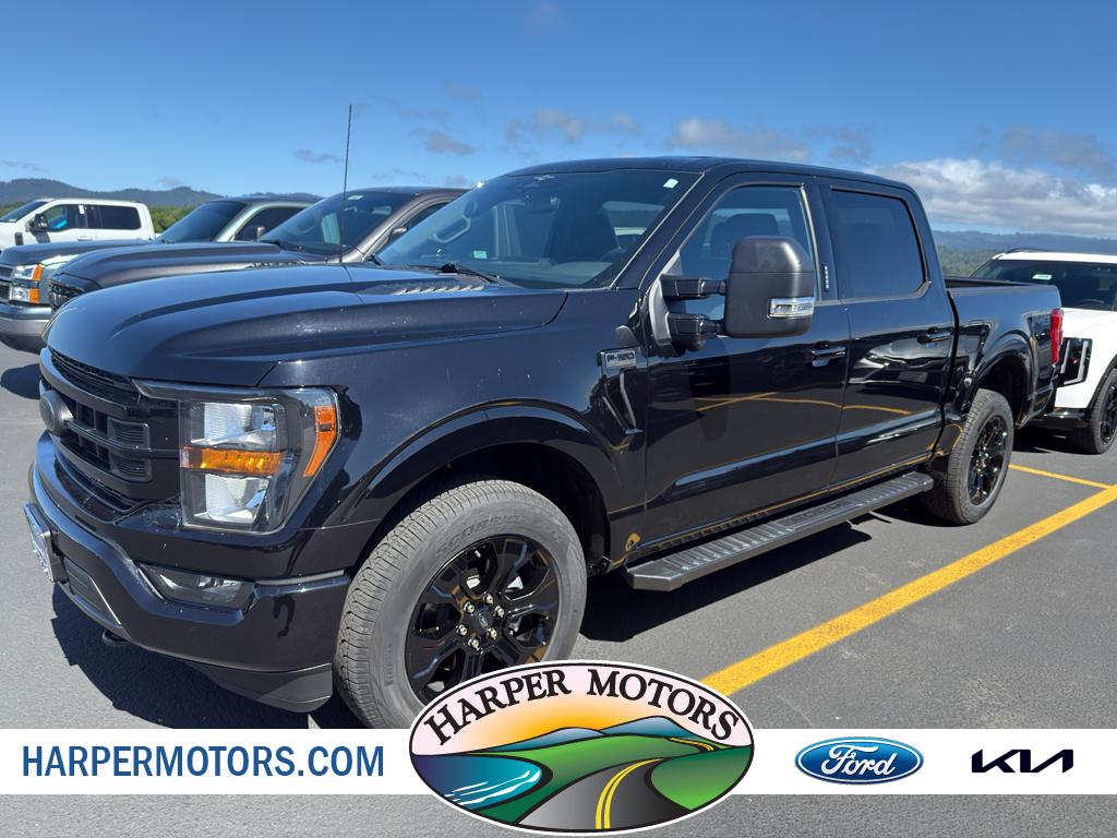 2023 Ford F-150 XLT 4x4 SuperCrew 5-1/2 Box's photo