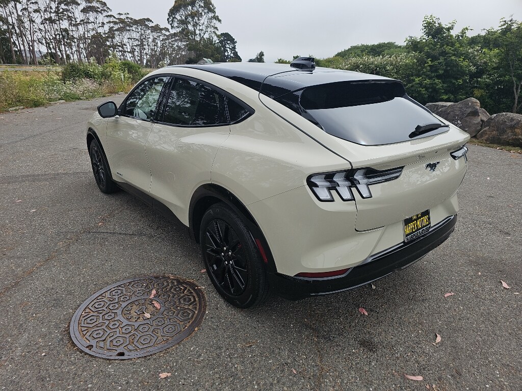 2025 Ford Mustang Mach-E Premium photo 3