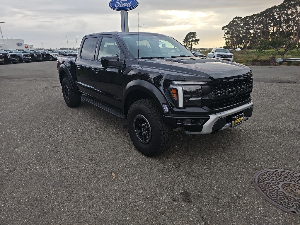 2025 Ford F-150 Raptor - Photo 8
