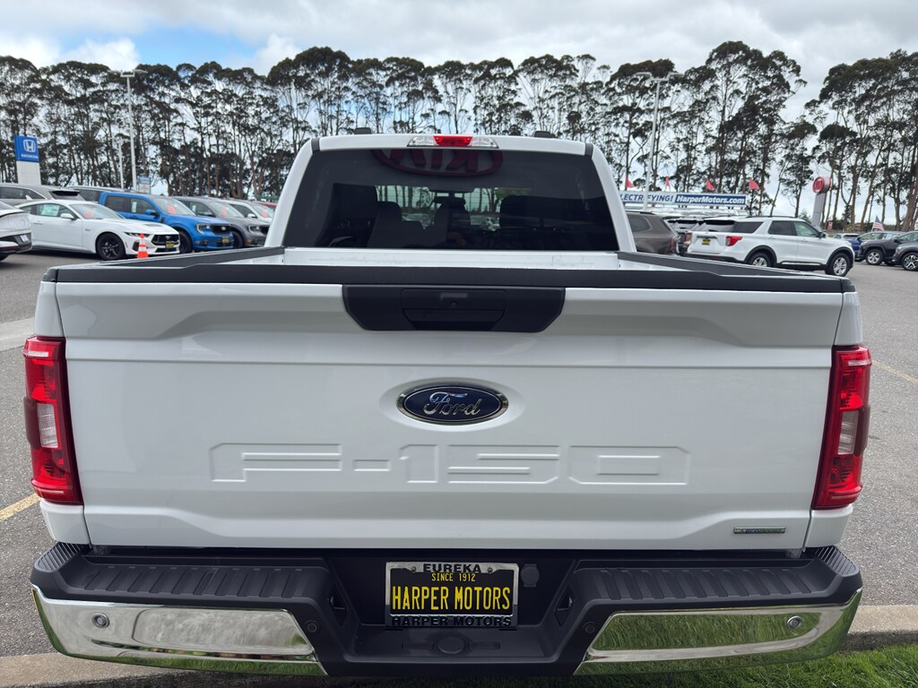 2023 Ford F-150 XLT photo 3
