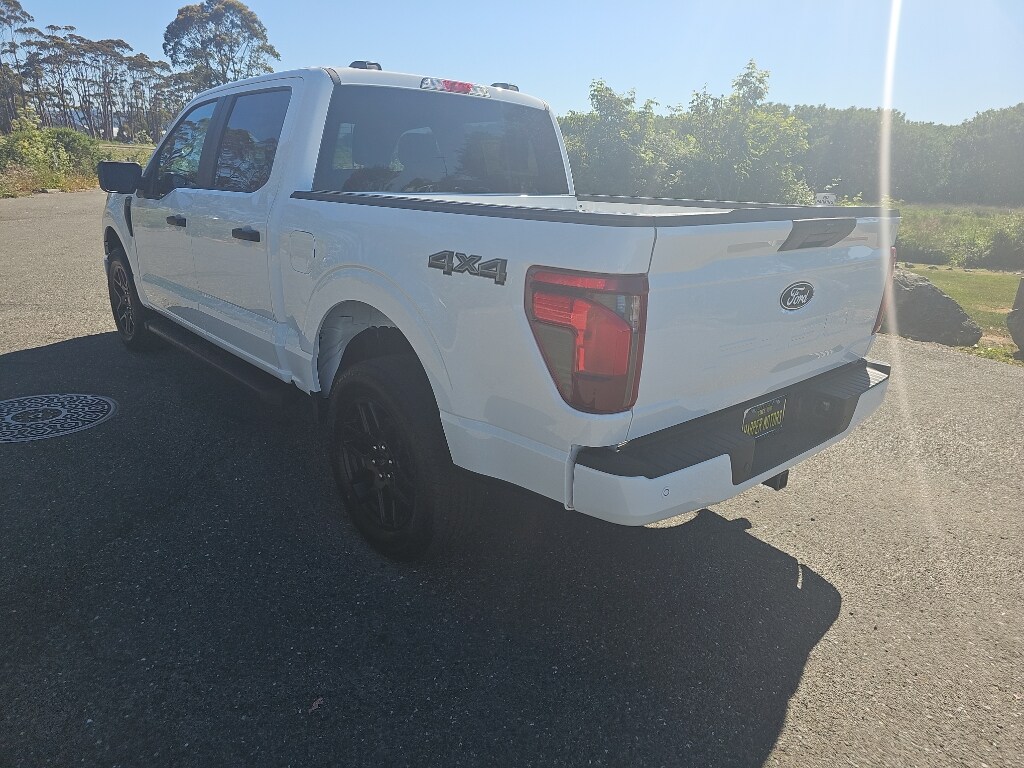 2025 Ford F-150 STX photo 3
